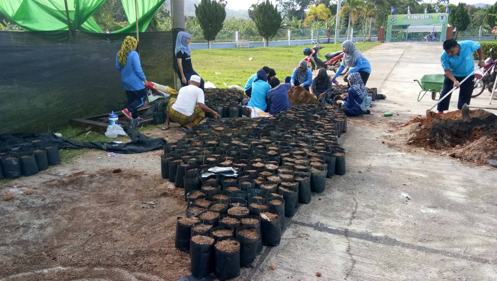 โครงการปลูกดาวเรืองเพื่อเถิดพระเกียติพระบ่ทสมเด็จพระปรมินทรมหาภุมิพลอดุลยเดช  ระหว่างวันที่ 1 มิ.ย 60 ถึง 30 สิงหาคม 60