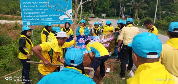 โครงการปรับภูมิทัศน์ ถนนสาย เกาะไทร- บ้านบาเเฆะ โดยพนักงาน อบต.พิเทน